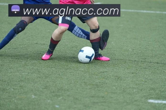 ag百家乐品牌故事